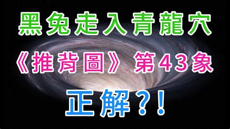 黑兔走進青龍穴|民间流传今明两年是：“黑兔走入青龙穴”，此话有什么预示？